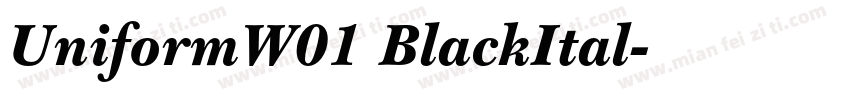 UniformW01 BlackItal字体转换
